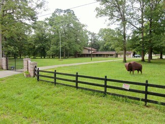 Plus de détails pour 15960 Stoltje Dr, Conroe, TX - Terrain à vendre