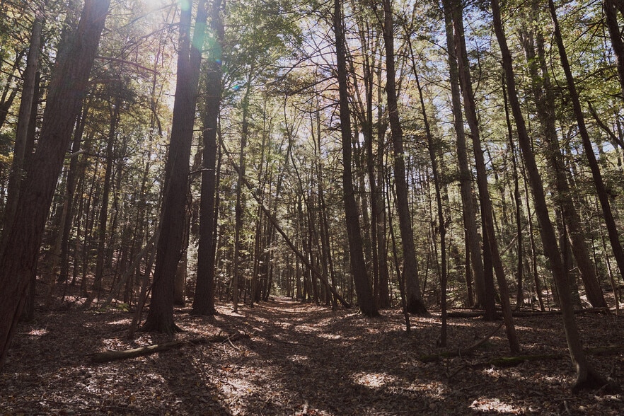 1296 Flatbush Rd, Kingston, NY for sale - Building Photo - Image 3 of 13