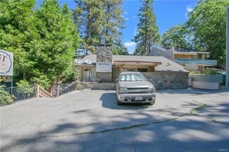 More details for 28906 Hook Creek Rd, Cedar Glen, CA - Office for Sale