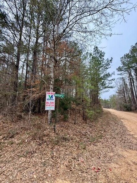 00 Maypop Ln, Meadville, MS for sale - Building Photo - Image 1 of 14