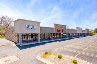 More details for 29109 Eight Mile Rd, Livonia, MI - Retail for Lease