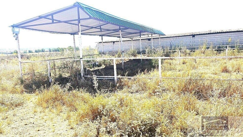 Terrain dans Talamanca de Jarama, Madrid à vendre - Photo du bâtiment - Image 2 de 10