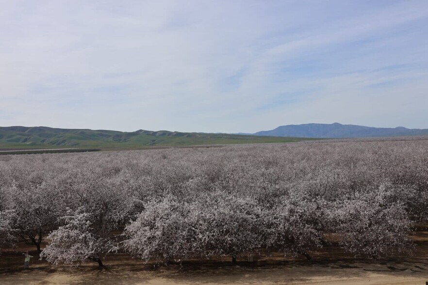 West Shields, Firebaugh, CA for sale - Primary Photo - Image 1 of 9