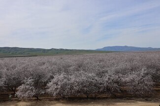 More details for West Shields, Firebaugh, CA - Land for Sale