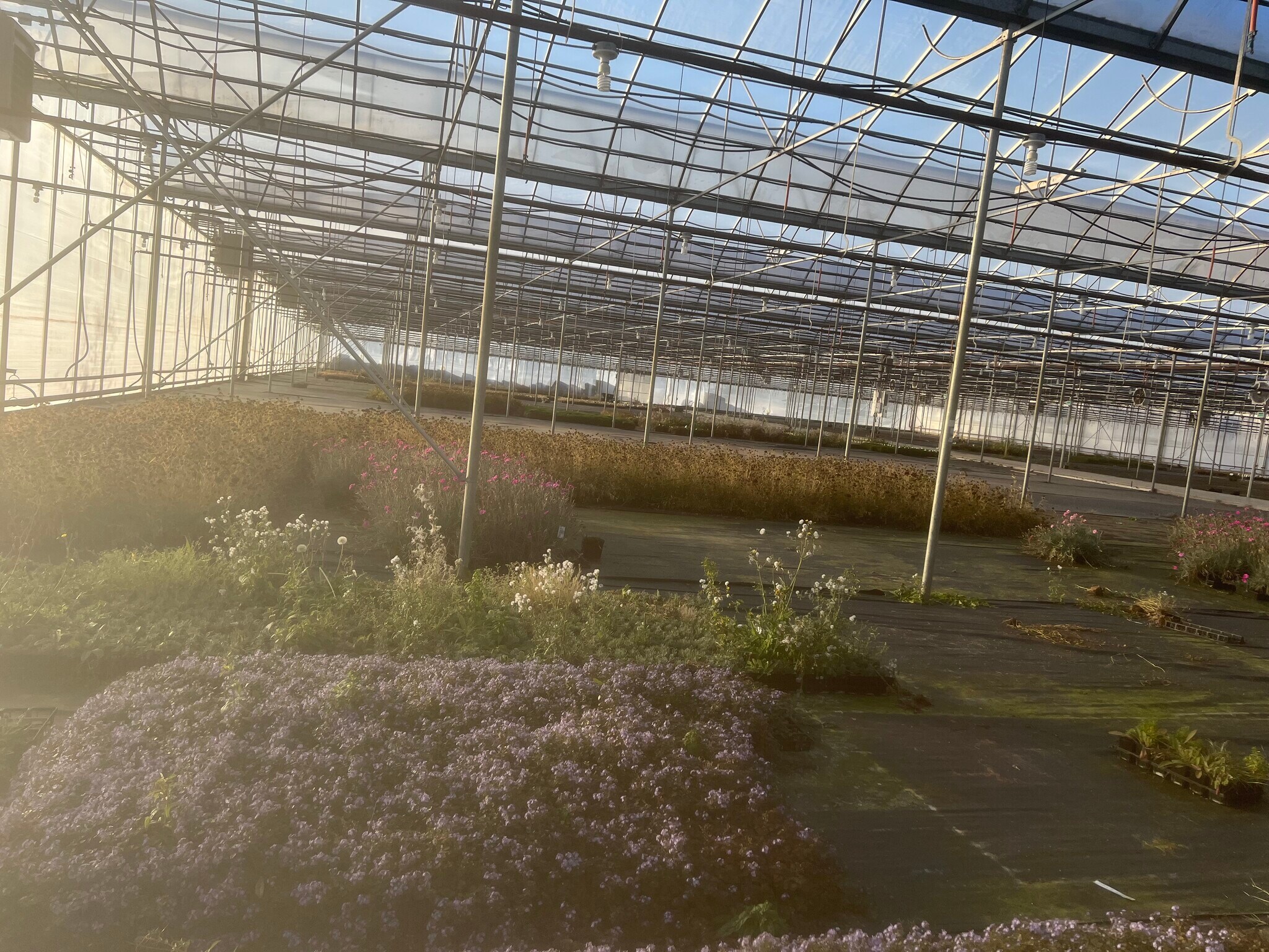 5079 240 St, Langley, BC for sale Primary Photo- Image 1 of 1