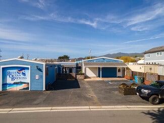 More details for 313-323 Princeton Ave, Half Moon Bay, CA - Industrial for Lease