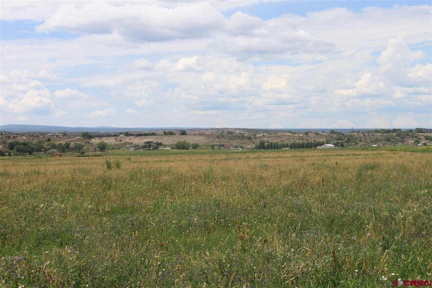 TBD 6600, Montrose, CO à vendre - Photo principale - Image 2 de 11