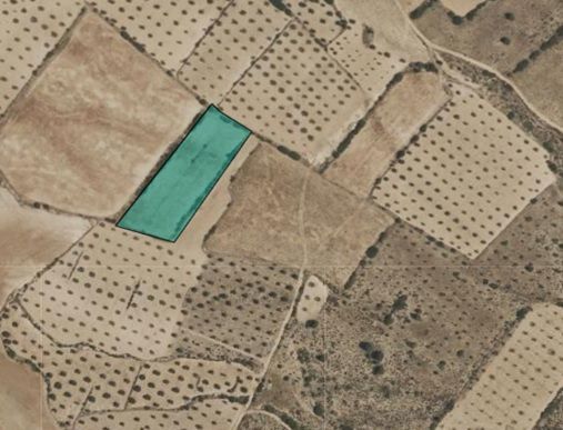 Land in Yecla, Murcia for sale - Site Plan - Image 3 of 3