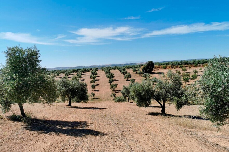 Llano Salviar Polígono, 13, Parcela: 20, Huelma, Jaén for sale - Aerial - Image 2 of 6