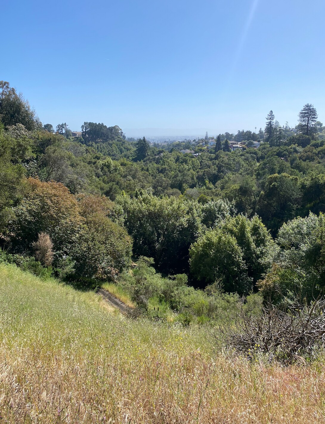 4145 Oak Hill Rd, Oakland, CA à vendre Photo principale- Image 1 de 6