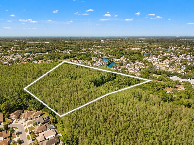 12591 Henderson Rd, Tampa, FL à vendre - Photo du bâtiment - Image 3 de 6