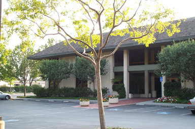 19200 Stevens Creek Blvd, Cupertino, CA for lease - Primary Photo - Image 1 of 5