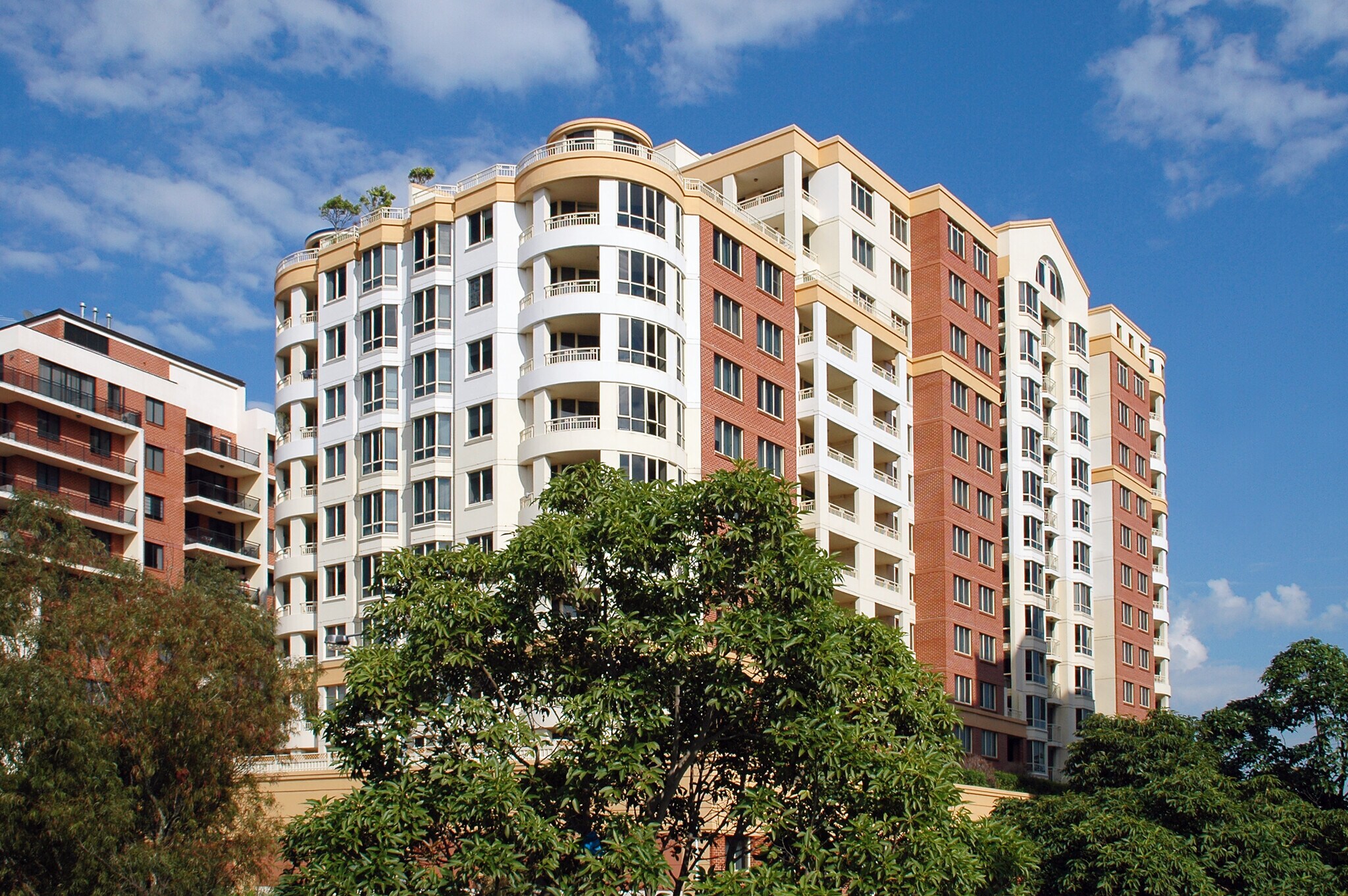 20-34 Albert Rd, Strathfield à louer Photo principale- Image 1 de 23