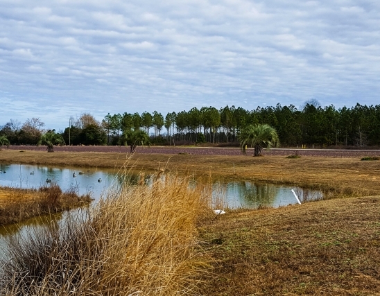 Lake Ashwood Rd, Sumter, SC à vendre - Photo principale - Image 1 de 1