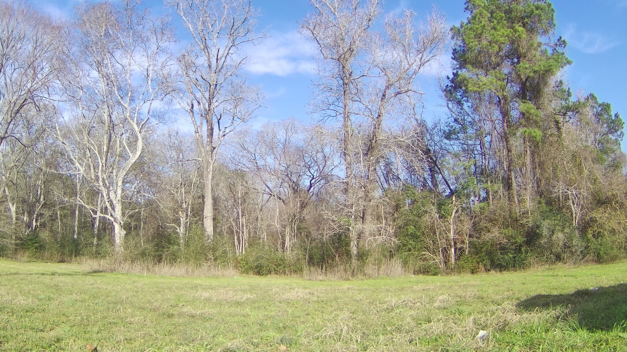 328 W FM 1988, Goodrich, TX à vendre Photo du bâtiment- Image 1 de 3