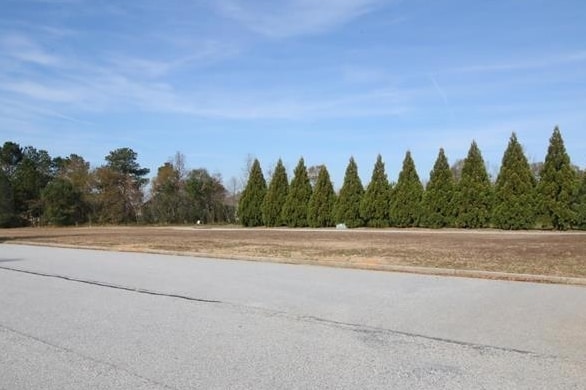 367 SE Athens Hwy, Loganville, GA for sale - Building Photo - Image 3 of 3