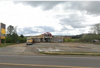 More details for 35160 AL Highway 21, Talladega, AL - Land for Sale