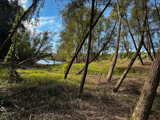 TBD TBD Eureka Landing Road, Uriah, AL for lease Primary Photo- Image 1 of 21