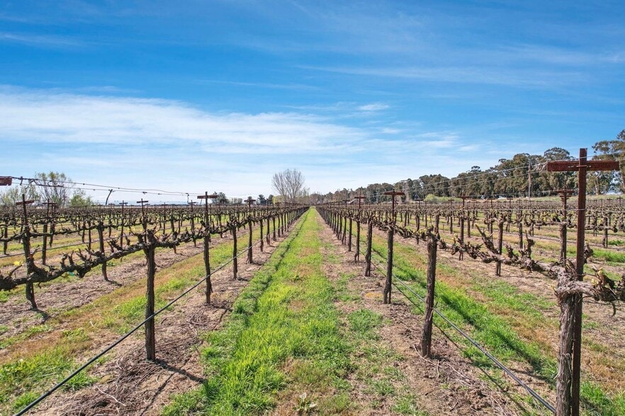 16550 CA-160, Isleton, CA for sale - Building Photo - Image 3 of 25