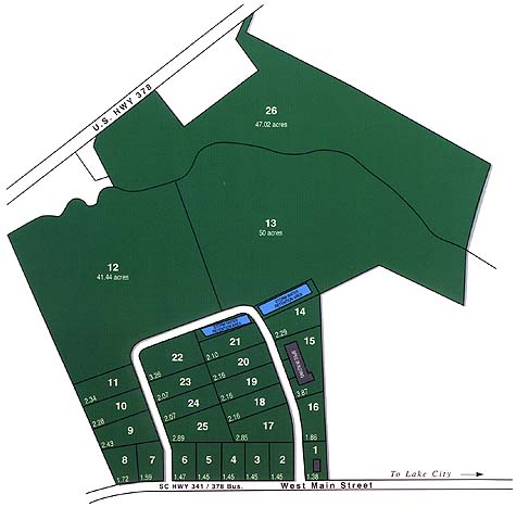 Lot 11 Godley Morris Blvd, Lake City, SC for sale - Primary Photo - Image 1 of 1