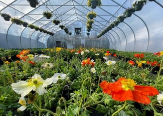 More details for 886 Rt-25a & Radio Ave, Miller Place, NY - Land for Sale