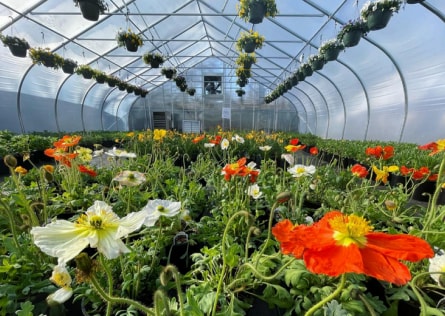 886 Rt-25a & Radio Ave, Miller Place, NY for sale Building Photo- Image 1 of 9