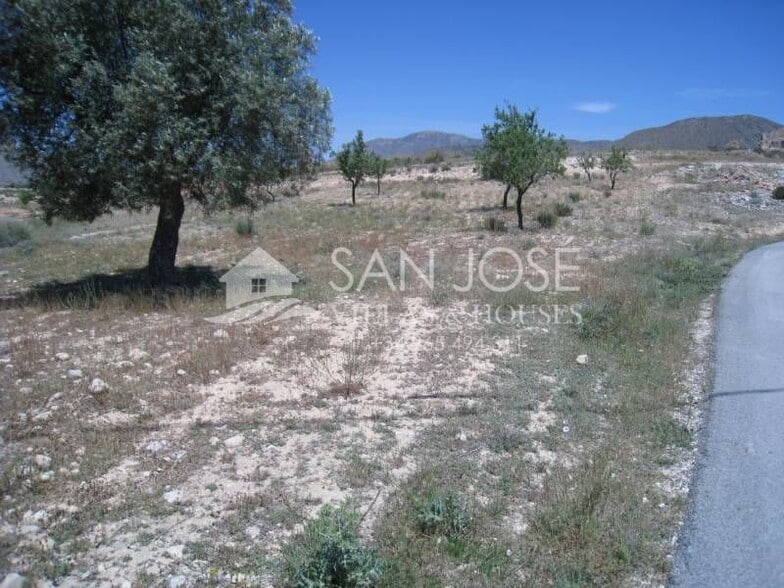 Land in Hondón de los Frailes, Alicante for sale - Aerial - Image 1 of 1
