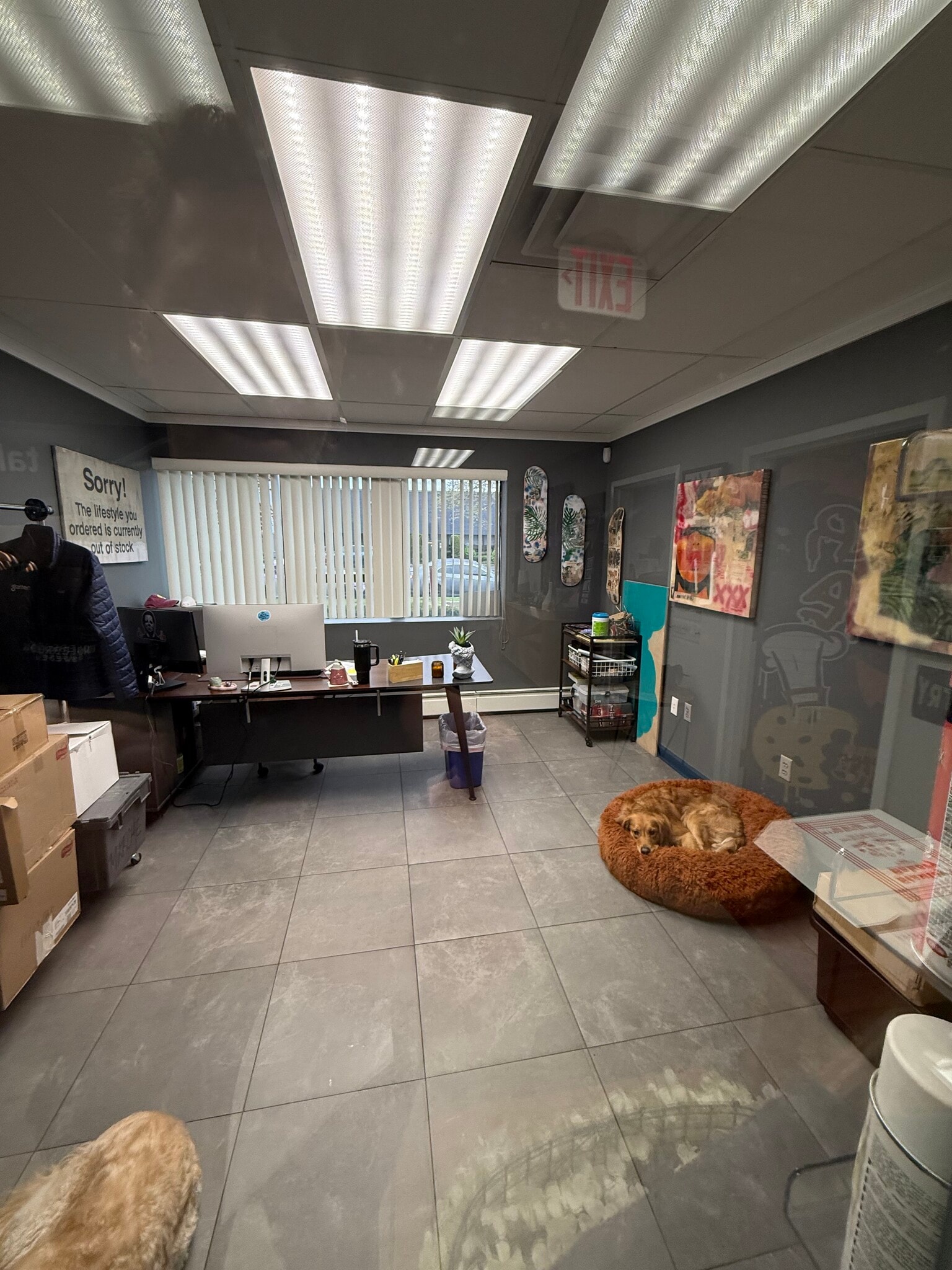 155 Schmitt Blvd, Farmingdale, NY à louer Photo intérieure- Image 1 de 19