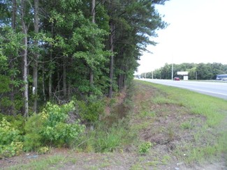 Plus de détails pour 2736-E Oglethorpe Hwy, Hinesville, GA - Terrain à vendre