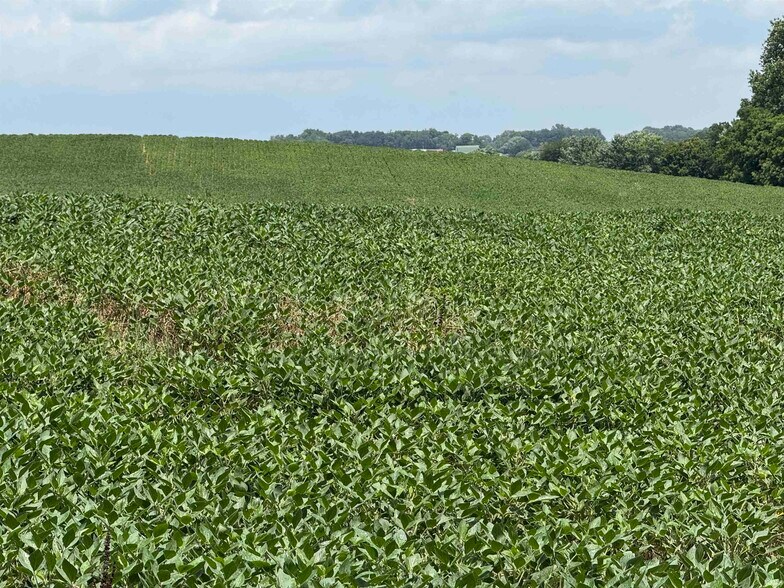 50 N US HWY 41, Princeton, IN à vendre - Photo du bâtiment - Image 1 de 3