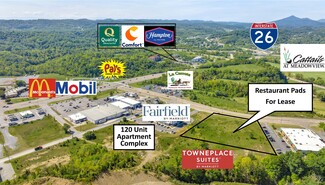 Plus de détails pour 2485 S Wilcox Dr, Kingsport, TN - Terrain à louer