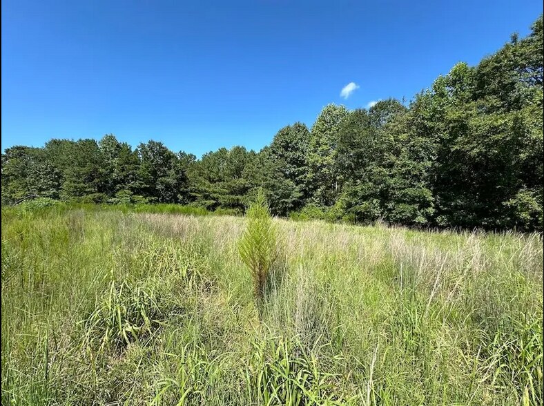 1442 Bird Hammond Rd, Winder, GA à vendre - Photo du bâtiment - Image 3 de 18