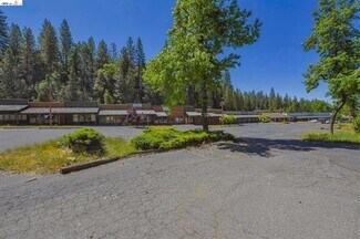 Plus de détails pour 18713 Tiffeni Dr, Twain Harte, CA - Bureau à vendre