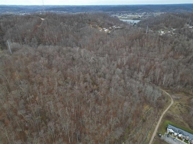 Plus de détails pour 00 Terrace Ave, Huntington, WV - Terrain à vendre