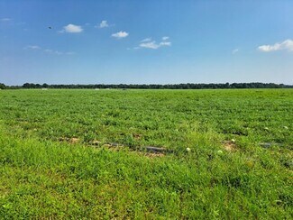 Plus de détails pour 0 Jesse Allen, Milton, FL - Terrain à vendre