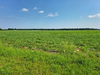 More details for 0 Jesse Allen, Milton, FL - Land for Sale