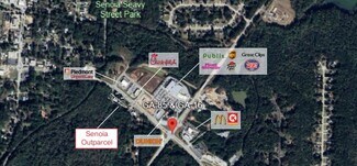 Plus de détails pour Hwy 16 E, Senoia, GA - Terrain à louer