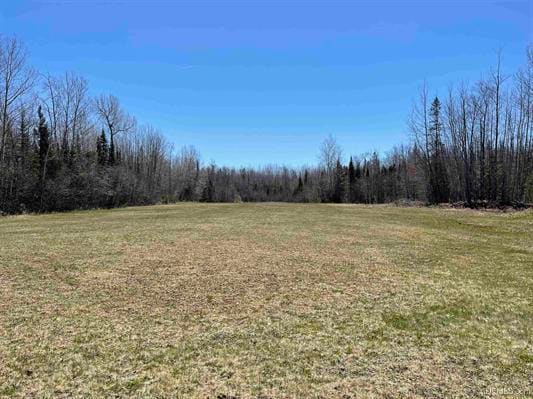 TBD Michigan 28, Deerton, MI for sale - Building Photo - Image 3 of 3