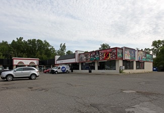 More details for 31222-31270 Ecorse Rd, Romulus, MI - Retail for Lease