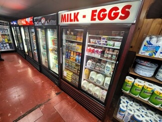 Plus de détails pour 17275 Caberfae Hwy, Wellston, MI - Commerce de détail à vendre