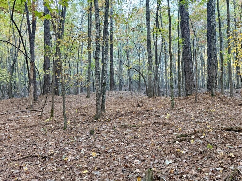 Airport Rd, Wadesboro, NC for sale - Primary Photo - Image 2 of 3