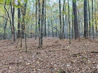 More details for Airport Rd, Wadesboro, NC - Land for Sale