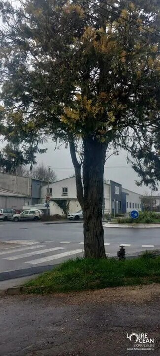 Plus de détails pour Commerce de détail à louer