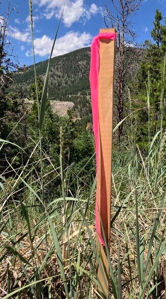 3 Miners Rd, Black Hawk, CO for sale - Building Photo - Image 2 of 3
