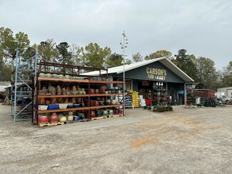 Plus de détails pour 2616 Colonel Thomson Hwy, Saint Matthews, SC - Vente au détail à vendre