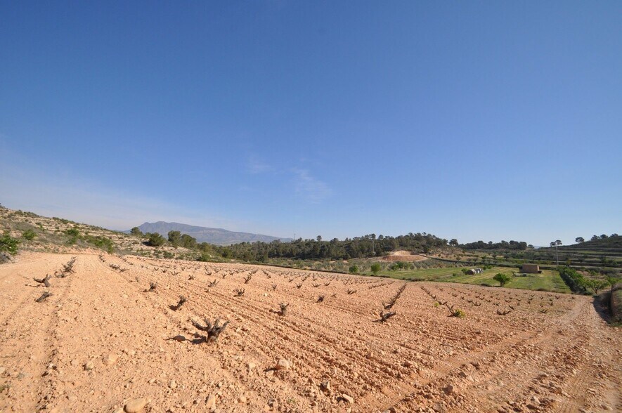 Land in Jumilla, Murcia for sale - Aerial - Image 2 of 16
