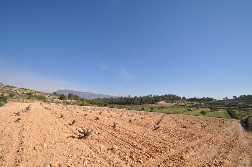 Terrain dans Jumilla, Murcia à vendre - Aérien - Image 2 de 16
