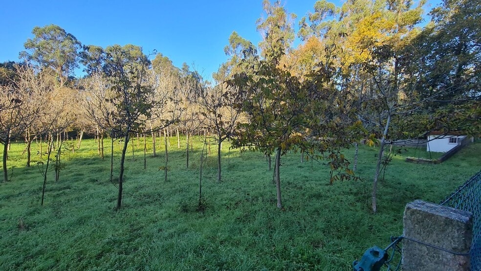 Land in O Rosal, Pontevedra for sale - Primary Photo - Image 1 of 34