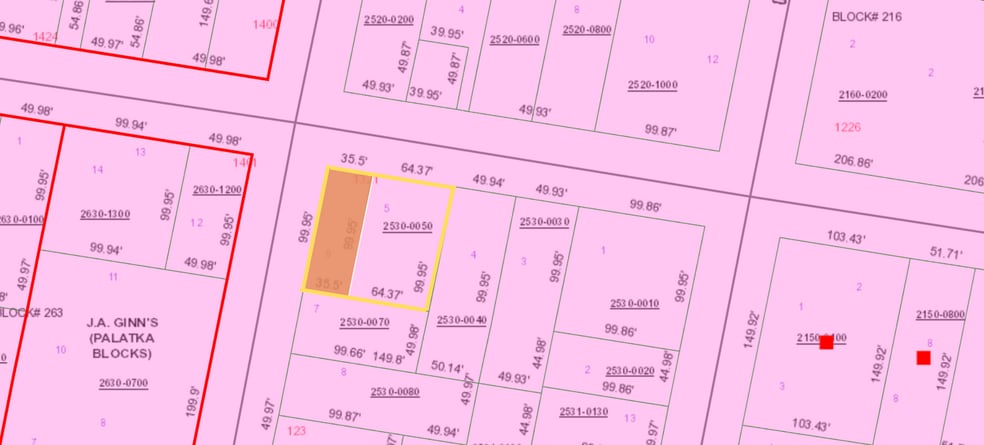 1321 St Johns Ave, Palatka, FL for sale - Building Photo - Image 2 of 39