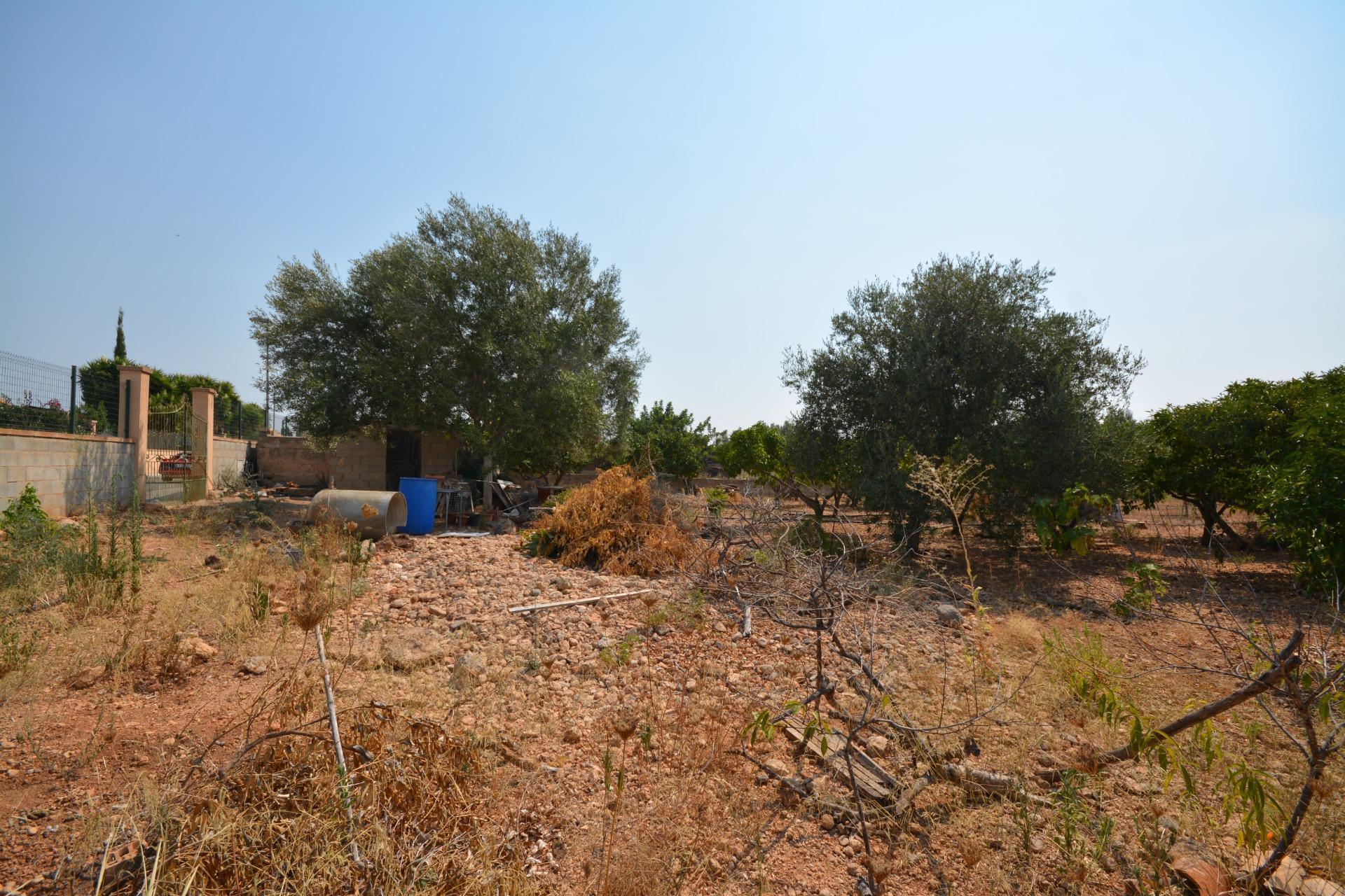Land in Marratxí, Islas Baleares for sale Building Photo- Image 1 of 19